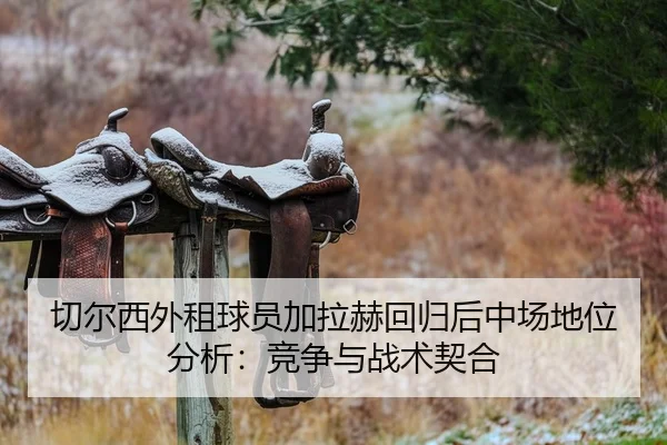 切尔西外租球员加拉赫回归后中场地位分析：竞争与战术契合 | CBA